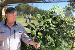 Celebrating Ripannleigh Farm - a member of the Outback Spirit Foundation supply chain