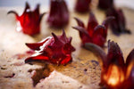 Wild Rosella and Pepperberry Syrup