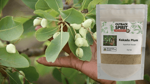 Bundle - Australian Native Superfruit Powders - Outback Spirit