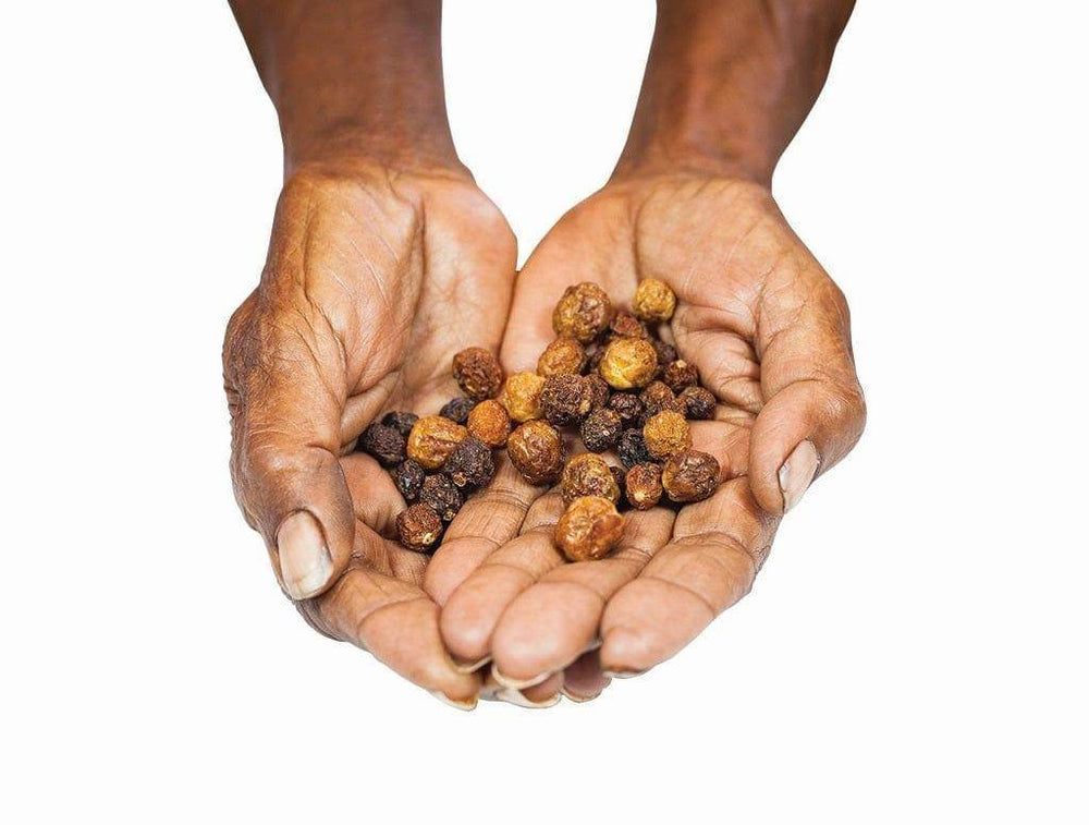 Outback Spirit Pure Native Herbs Bundle - The Herb and Spice Collection