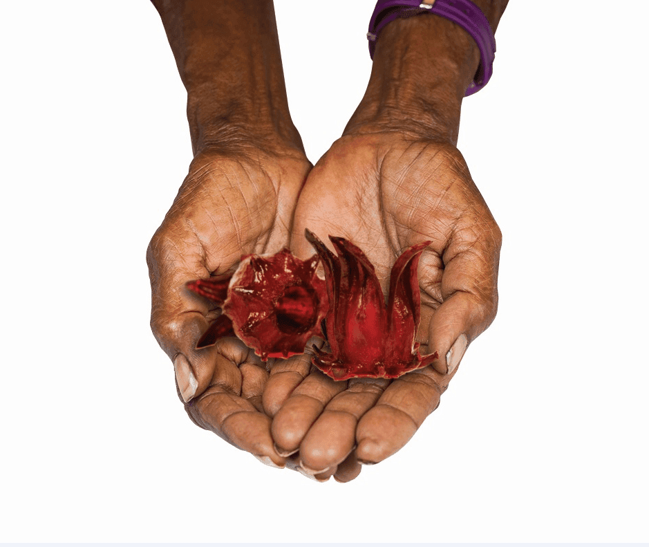 Outback Spirit Pure Native Herbs Bundle - The Herb and Spice Collection