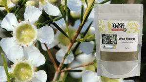 Geraldton Wax Flower Superfruit Powder