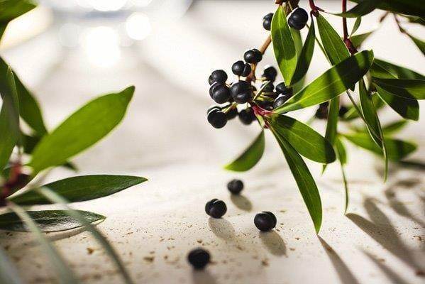 Outback Spirit Herbs and Salts Pepperberry