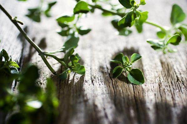 Outback Spirit Herbs and Salts Rivermint Tin 30g