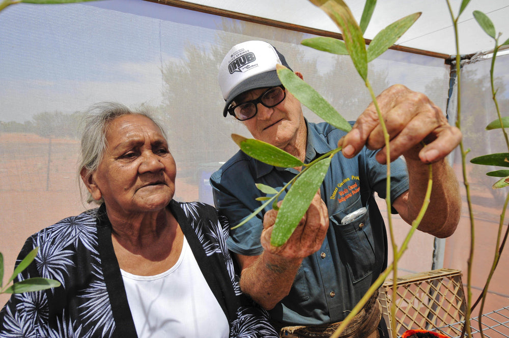 Outback Spirit Herbs and Salts Wattleseed 30g