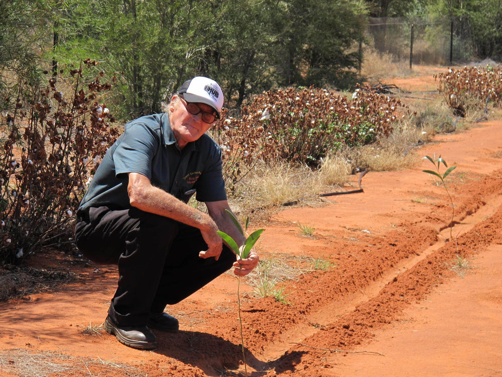 Outback Spirit Herbs and Salts Wattleseed 30g